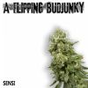 Download track Good Ganja