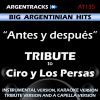 Download track Antes Y Despues (In The Style Of Ciro Y Los Persas) [Karaoke Version]