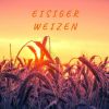 Download track Meine Güte