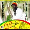 Download track Beautiful Bride