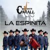 Download track La Espinita