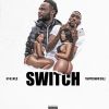 Download track Switch