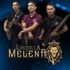 Download track La Plevada Belica (En Vivo)