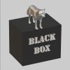 Download track Black Box