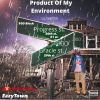 Download track Product Of My Environment