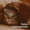 Download track Eine Katzenzeit