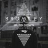 Download track Burn Down