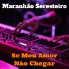 Download track Tchau Tchau Amor (Cover)