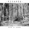 Download track Picarós