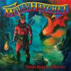 Download track Silent Reign Of Heroes