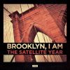 Download track Brooklyn, I AM