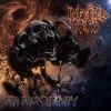 Download track Birth Of Chaos