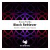 Download track Black Retriever (Marway Remix)