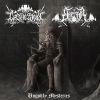 Download track A Spell Of Blood And Thorns