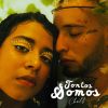 Download track Tontos Somos