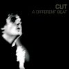 Download track A Different Beat (Demo Version)