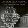 Download track Wolfsohn: Hebräische Suite Für Klavier Und Orchester, Op. 8 (1928): 4. Freilachs [Andante]