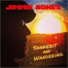 Download track Snakebit And Wandering