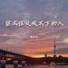 Download track 留不住又放不下的人