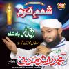 Download track Ya Rasool E Arbi