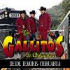 Download track Popurri Gallitos # 2