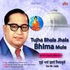 Download track Tuja Bhala Jhala Bhima Mule