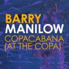 Download track Copacabana (At The Copa) (Niels Van Gogh & Daniel Strauss Remix)