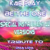 Download track Be The One (Special Radio Instrumental Mix)