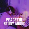 Download track Study Beats, Pt. 11