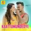 Download track Kaattumundedye (From 