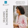 Download track Clarinet Trio In A Minor, Op. 114: II. Adagio