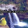 Download track Naturaleza Calmante