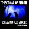 Download track Screaming Blue Murder