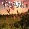 Download track Swang - Tribute To Rae Sremmurd (Instrumental Version)