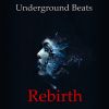 Download track Rebirth (Chill Beat)