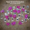 Download track Field Of Photographs