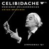 Download track Symphony No. 7 In E Major, WAB 107 III. Scherzo. Sehr Schnell - Trio. Etwas Langsamer (Live At Philharmonie Am Gasteig, 1994)