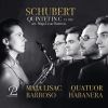 Download track String Quintet In C Major, Op. 163, D. 956 (Arr. For 5 Saxophones By Maja Lisac Barroso): III. Scherzo (Presto) - Trio (Andante Sostenuto)