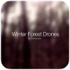 Download track Cold Forest Bleeping