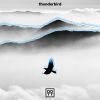 Download track Thunderbird