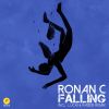 Download track Falling (Luchi & Raizer Remix)