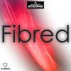 Download track Fibred