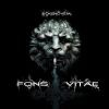 Download track Fons Vitae