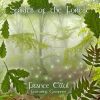 Download track Spirits Of The Forest (New Dawn)