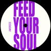 Download track Feed Your Soul (Radio Edit)