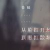 Download track 从脸红开场到眼红散场