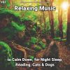 Download track Relaxing Music, Pt. 75