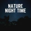 Download track Nature Rain, Pt. 2