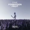 Download track Forbidden Fruit (Original Mix)