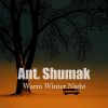 Download track Warm Winter Night